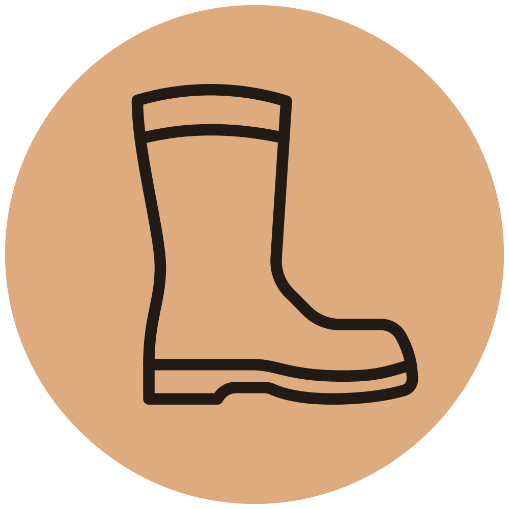 Icon schuhe
